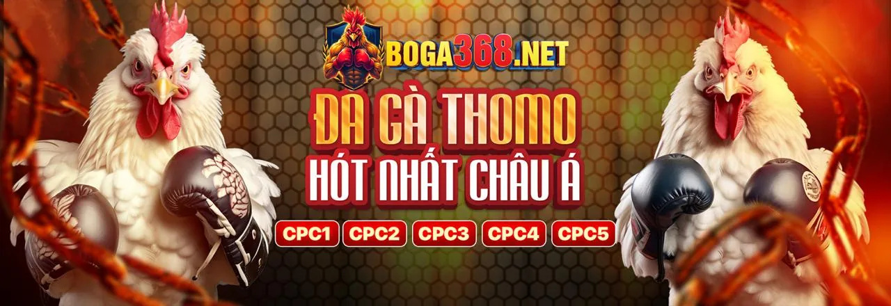 Các chương trình khuyến mãi mới nhất của 85bet Win